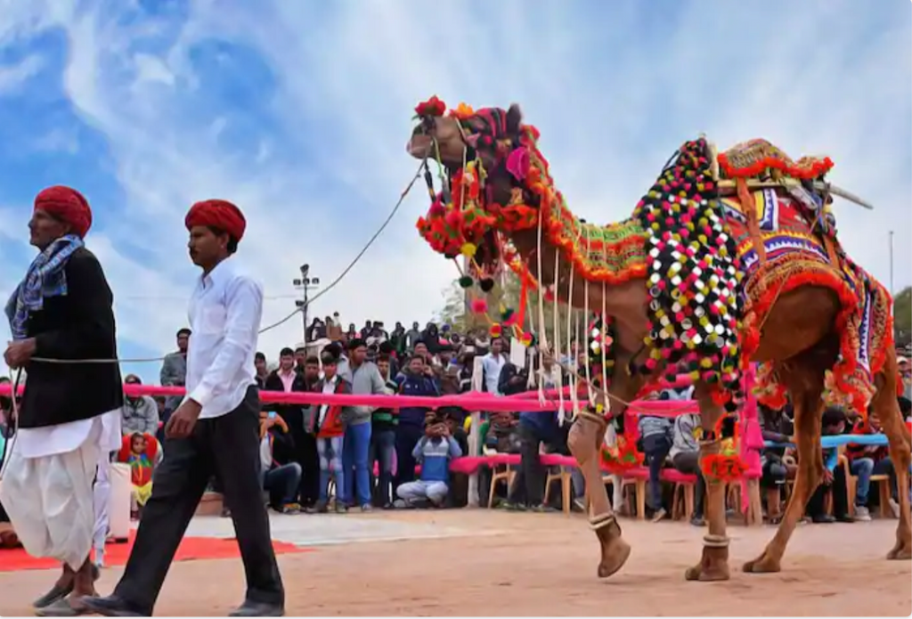 You HAVE to visit this Festival in India!