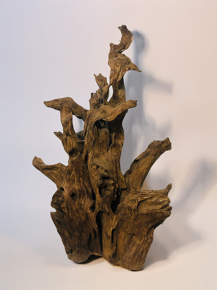 Buy Enchanting Sal in Driftwood Craft by Suresh Pant