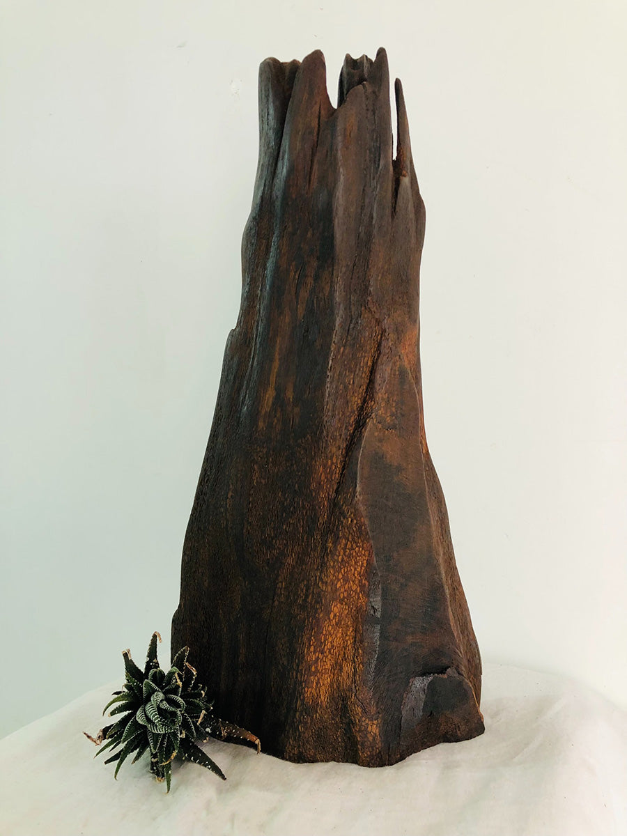 Buy Lamp Stand in Driftwood Craft by Suresh Pant