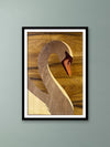 Purchase Swan In Wood Inlay by Mohan Kumar