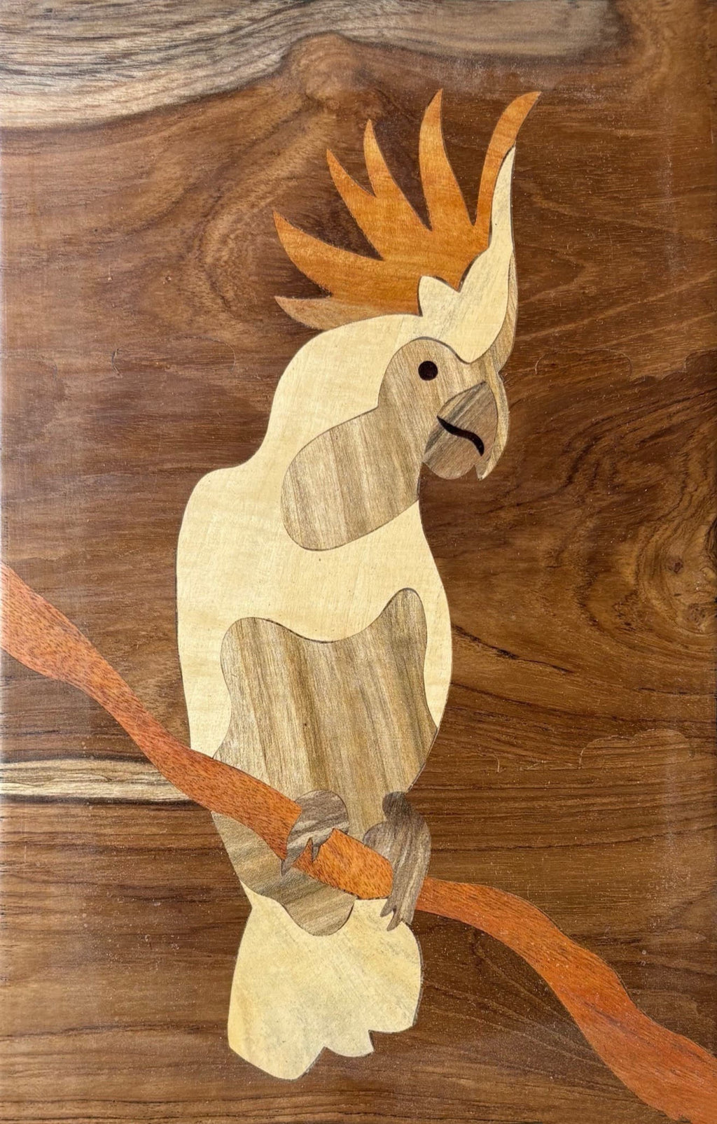 Cockatoo Parrot In Wood Inlay by Mohan Kumar