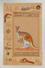 Buy Kangaroo In Mughal by Baaya