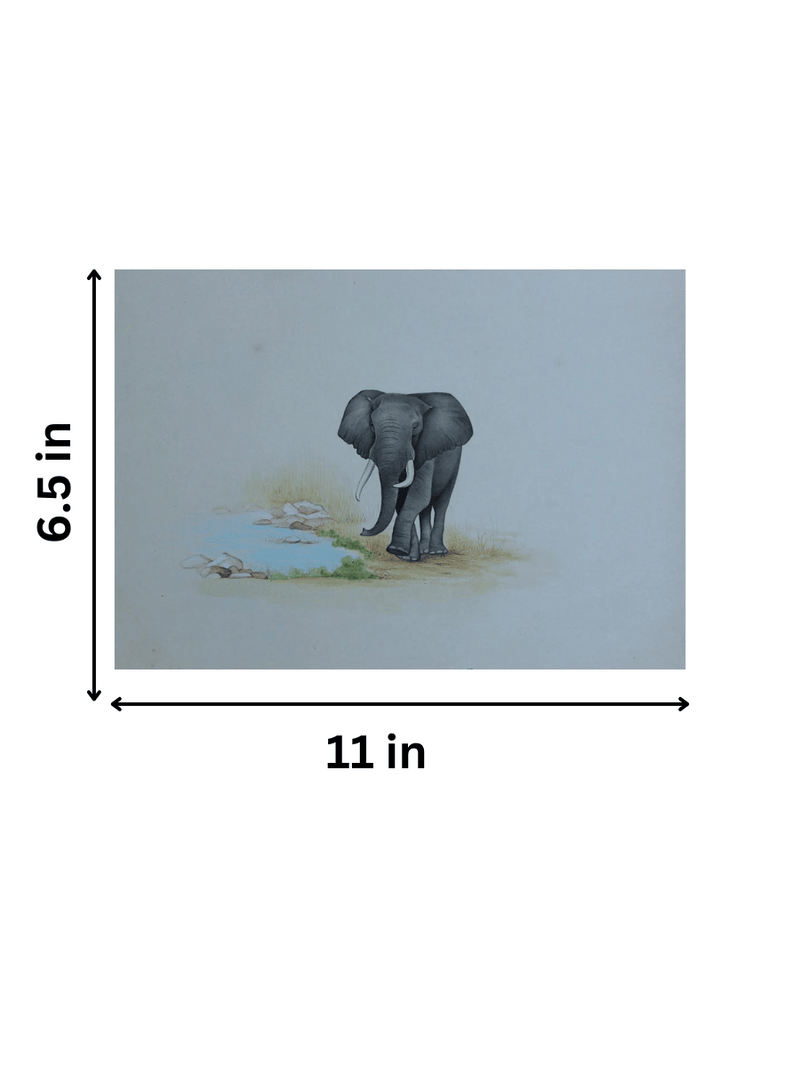 An Elephant in Wild Miniature Painting for sale