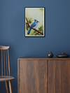 A Bird in Zardozi  artwork for sale