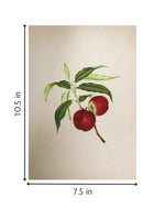 A Fruit's Delight in Miniature Painting for sale