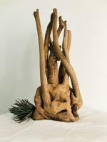 Shop Branches and roots In Driftwood craft by Suresh Pant