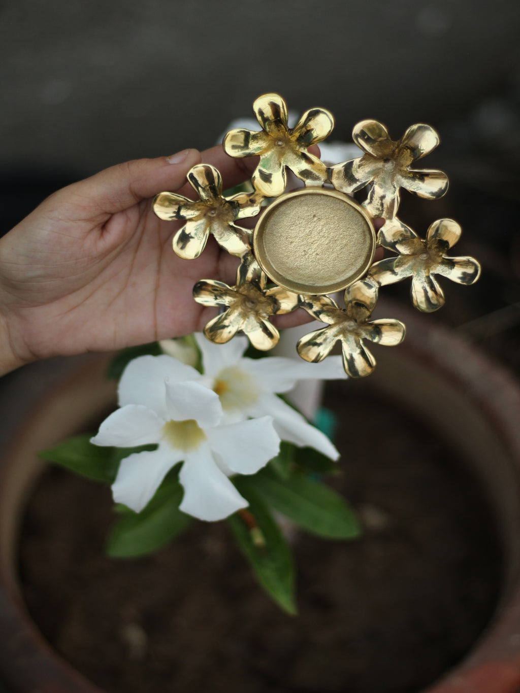 Shop Champa flower T-light holder in Brass work by Chanchal Chakraborty