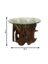 buy Coffee table in Driftwood craft by Suresh Pant