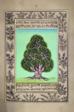 Buy Grant Tree In Mughal Miniature