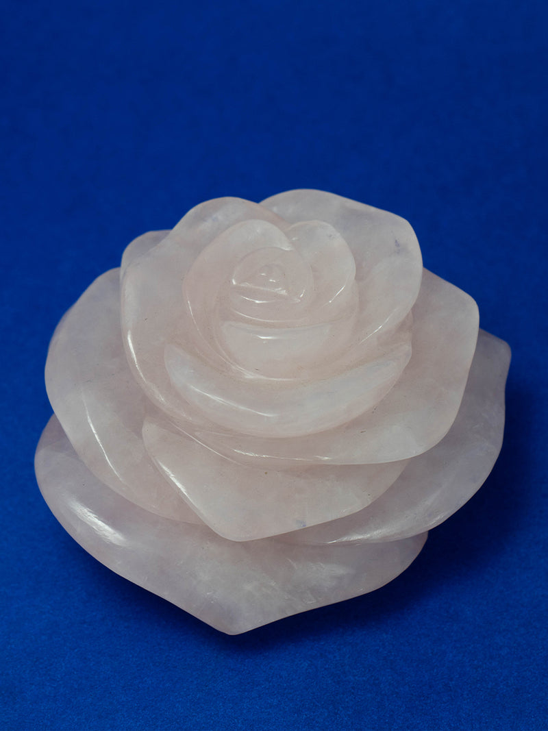 Harmony in Bloom: Rose Quartz Trifecta of Graceful Roses 