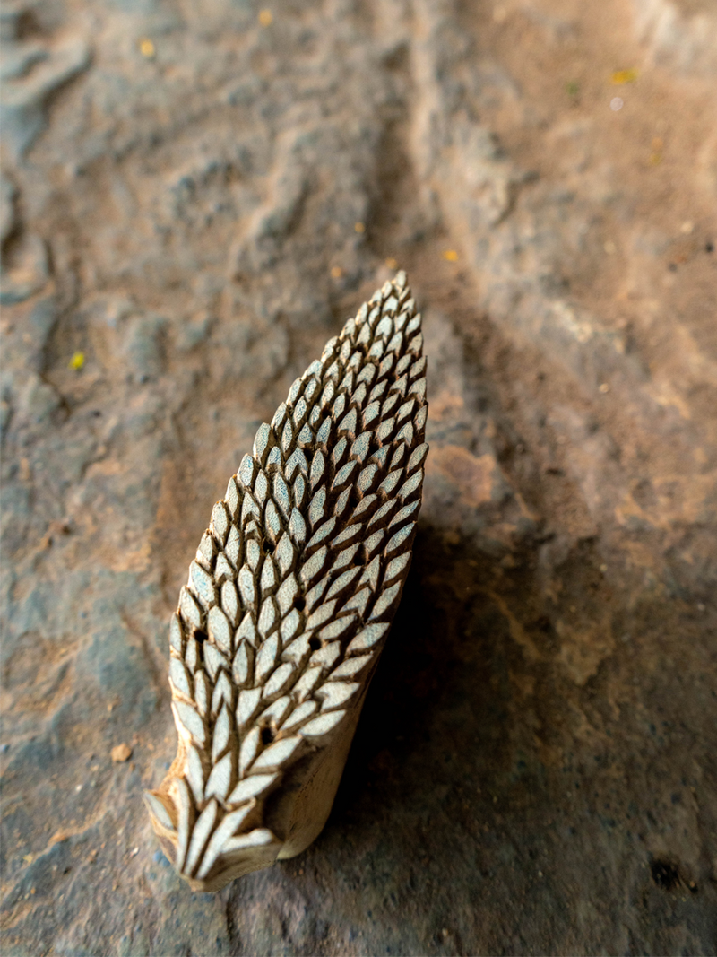 Order Online Leaf/Feather Pattern in Vikas Ji’s Wooden block art for Sale