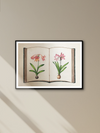 Shop Lilies of Mughal in Miniature Painting by Mohan Prajapati