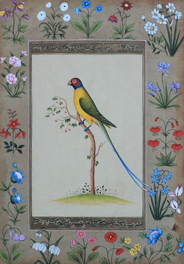 Buy A Colorful Parrot in Miniature Painting by Mohan Prajapati