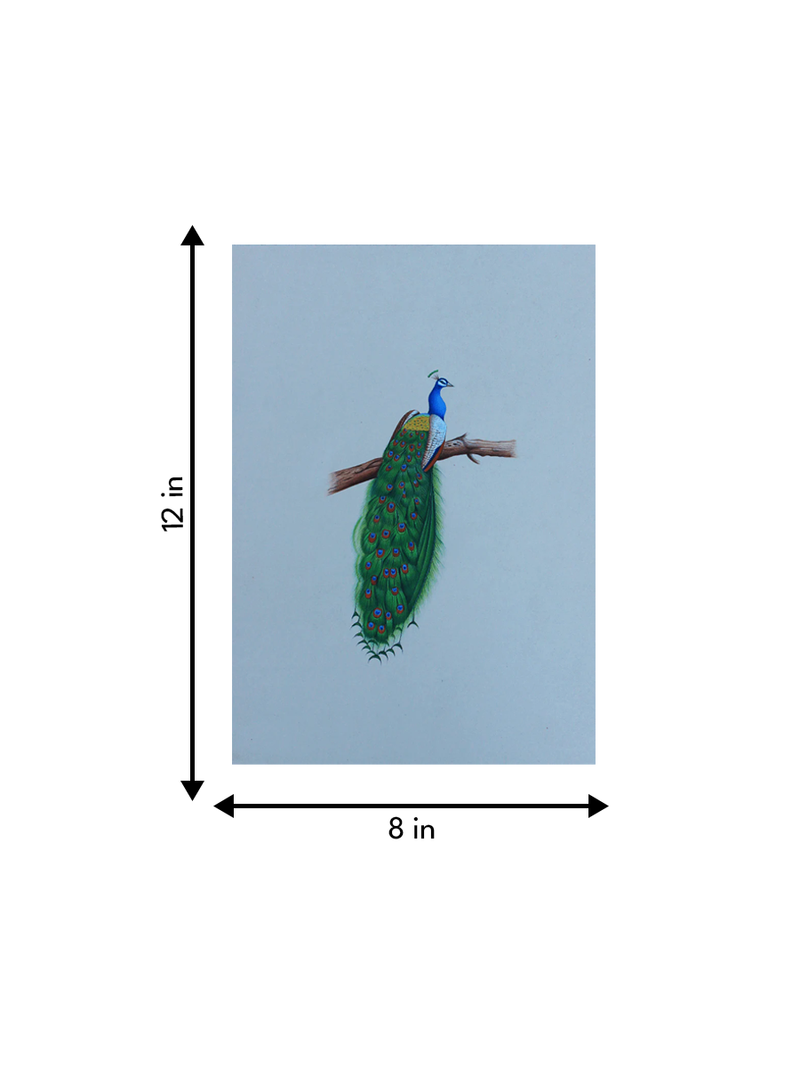 A Graceful Peacock in Miniature Painting for sale