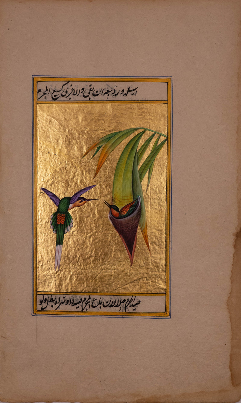  A Mughal Miniature Portraying the Care of a Hummingbird by Mohan Prajapati