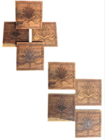 Tarkaashi Coasters Workshop