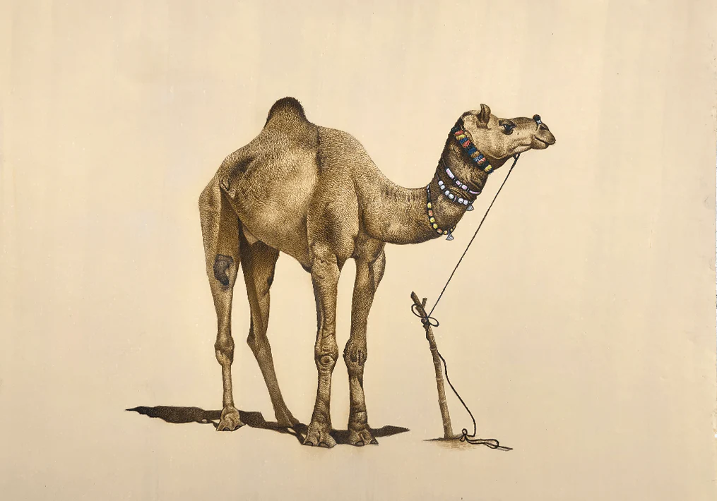 Buy The Iconic Camel in Miniature Painting by Mohan Prajapati