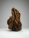 Shop The Sculpture of Tree Root In Driftwood craft by Suresh Pant