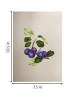 The Sweet Berries in Miniature Painting for sale