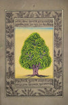 Buy Tree In Mughal Miniature