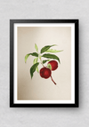 Shop A Fruit's Delight in Miniature Painting by Mohan Prajapati