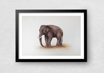 An Elephant in Miniature Painting by Mohan Prajapati