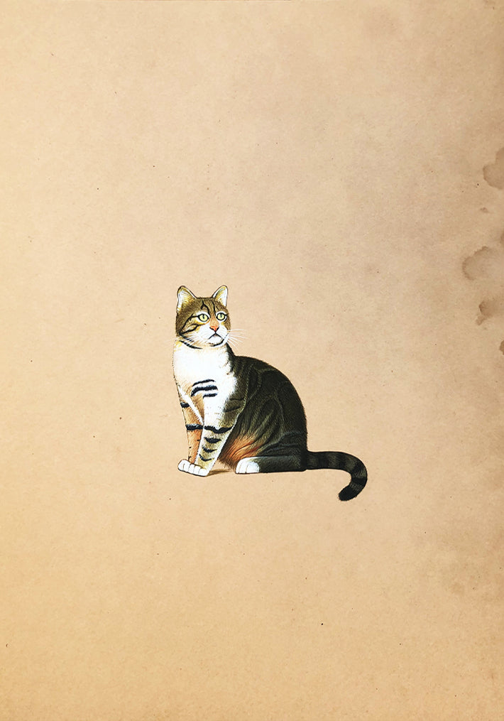 The Adorable Cats in Miniature Painting by Mohan Prajapati