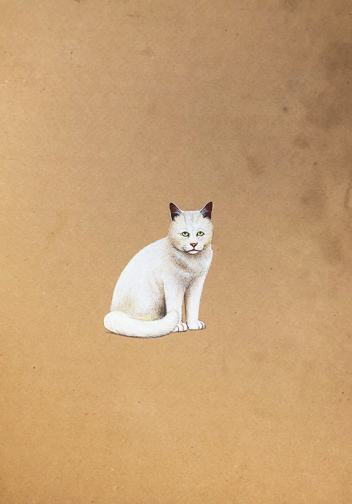 The Adorable Cats in Miniature Painting by Mohan Prajapati