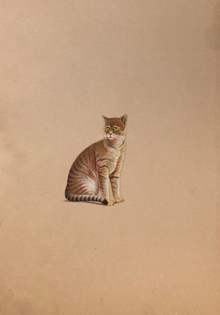 The Adorable Cats in Miniature Painting by Mohan Prajapati