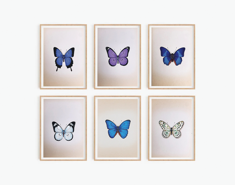 The Beautiful Butterflies in Miniature Painting by Mohan Prajapati