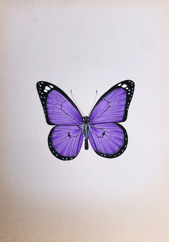 The Beautiful Butterflies in Miniature Painting by Mohan Prajapati