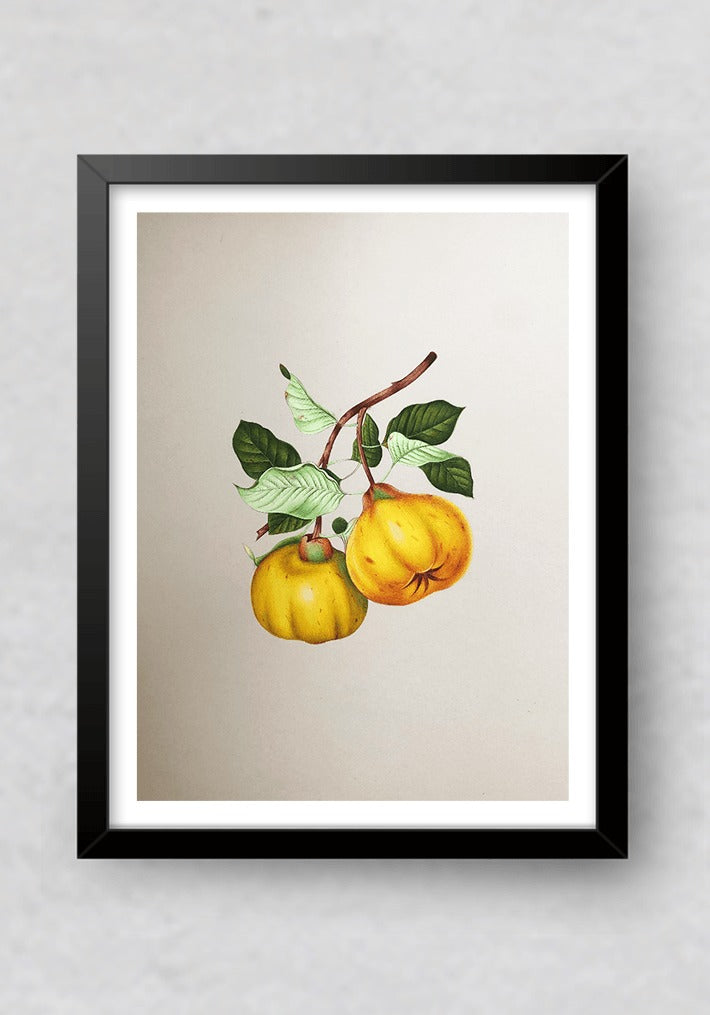 Shop The Luscious Fruits in Miniature Painting by Mohan Prajapati