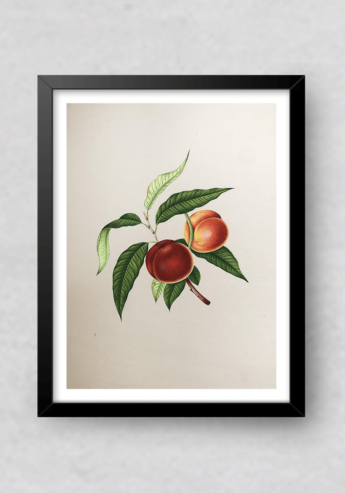 Shop Fruits Miniature style by Mohan Prajapati