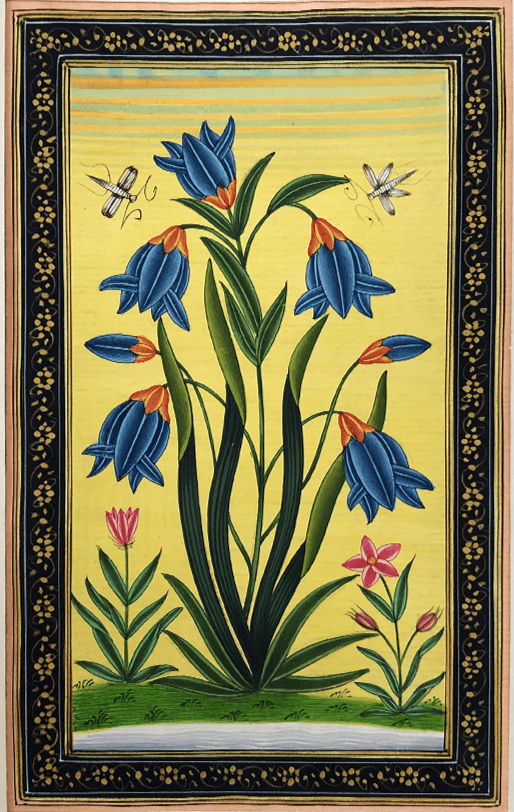 The Mughal Blooms in Miniature Painting by Mohan Prajapati