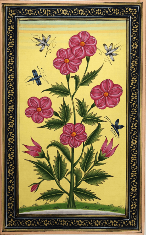 The Mughal Flowers in Miniature Painting by Mohan Prajapati