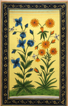 The Mughal Flowers in Miniature Painting by Mohan Prajapati