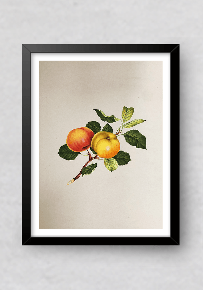 Shop The Nature's Fruits in Miniature Painting by Mohan Prajapati