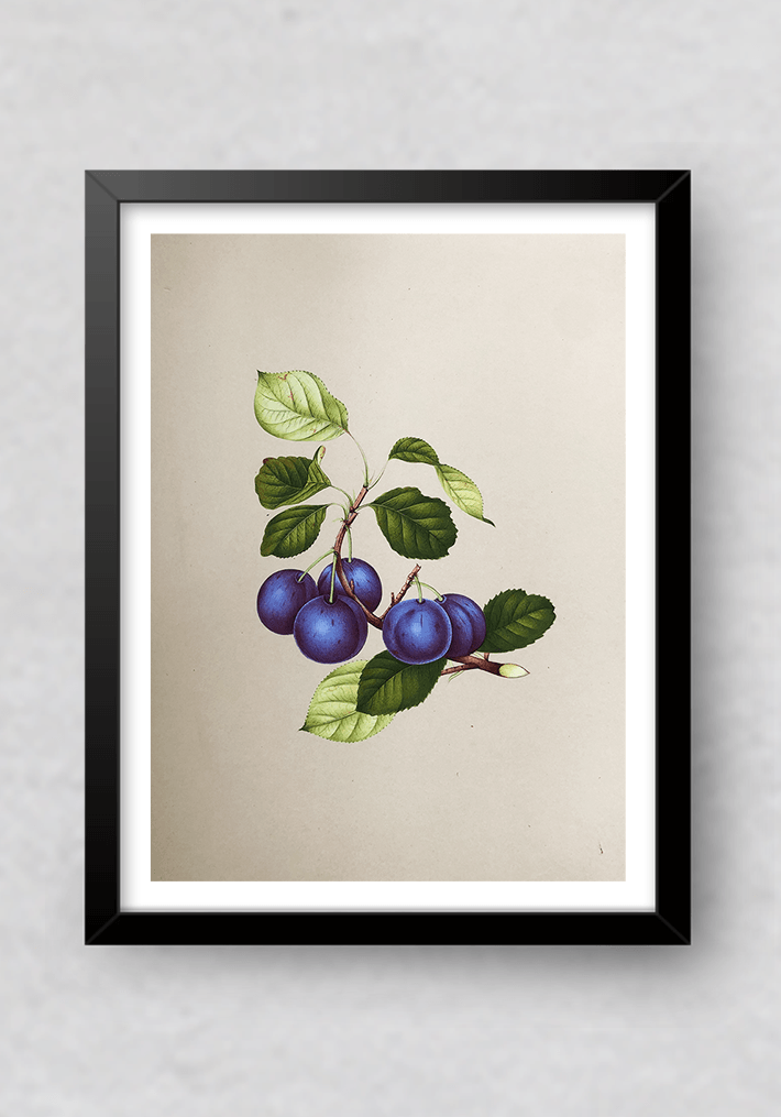 Shop The Sweet Berries in Miniature Painting by Mohan Prajapati